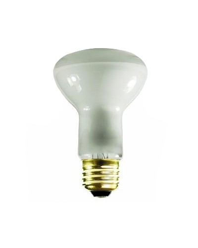 Newcandescent Light Bulbs, 50 Watt, R-20 Flood Light 2-Pack