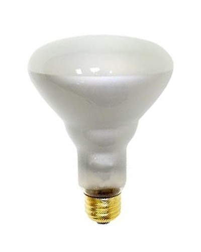 Newcandescent Light Bulbs, 75 Watt BR-30 Flood Light 2-Pack