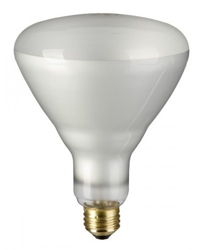 Newcandescent Light Bulbs, 75 Watt BR-40 Flood Light 2-Pack